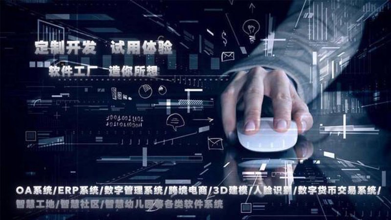 企业定制化需求推动系统设计革新